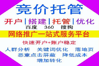 SEM服务公司助力企业流量增长案例